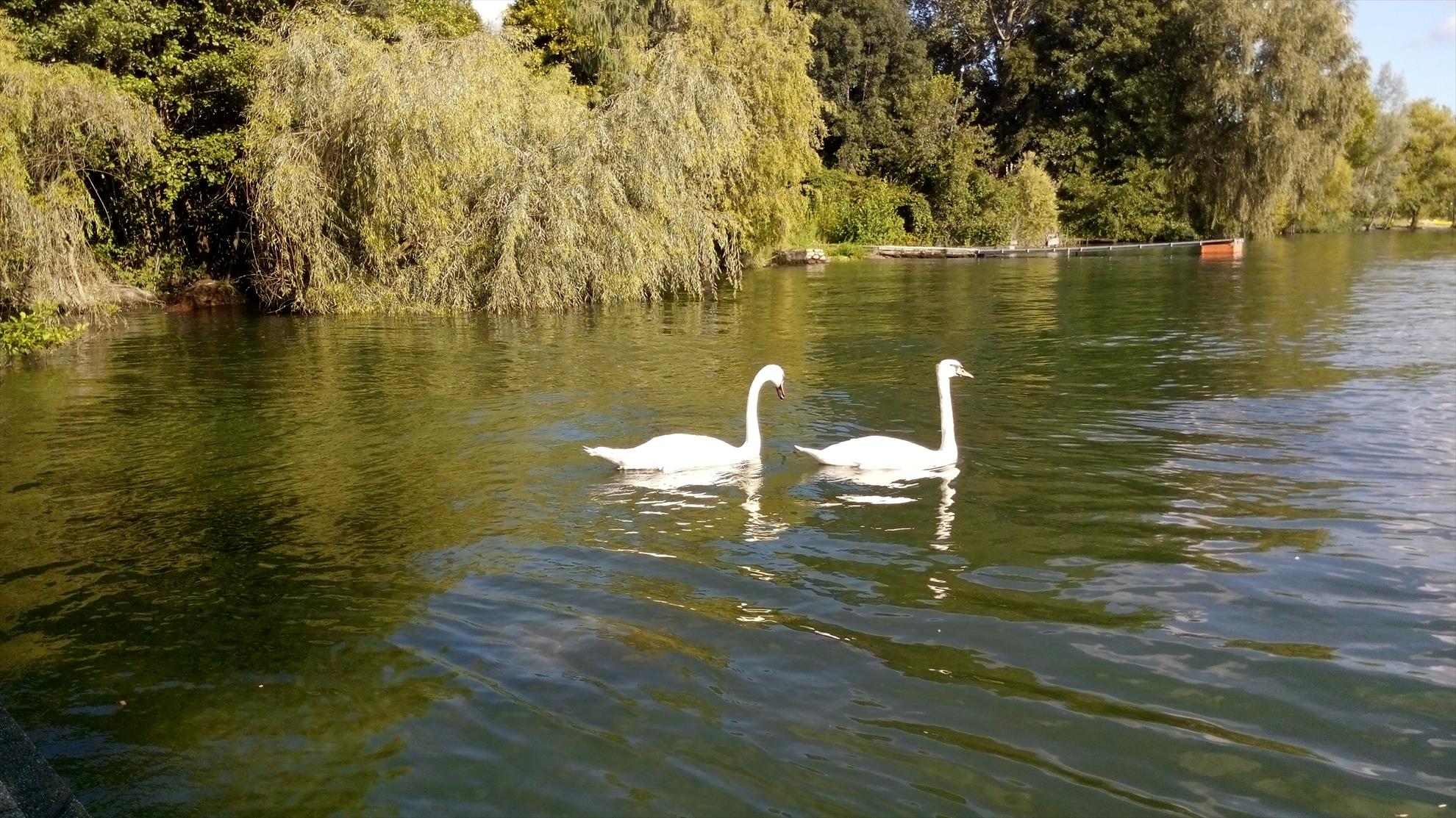 Viverone 2014 - img20140813175726.jpg